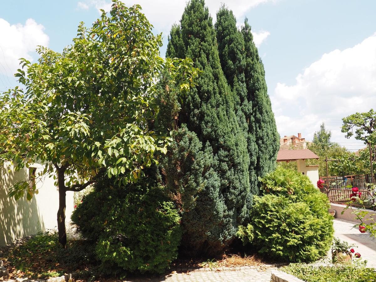 Guest House Stefanovic Vranje Exterior photo