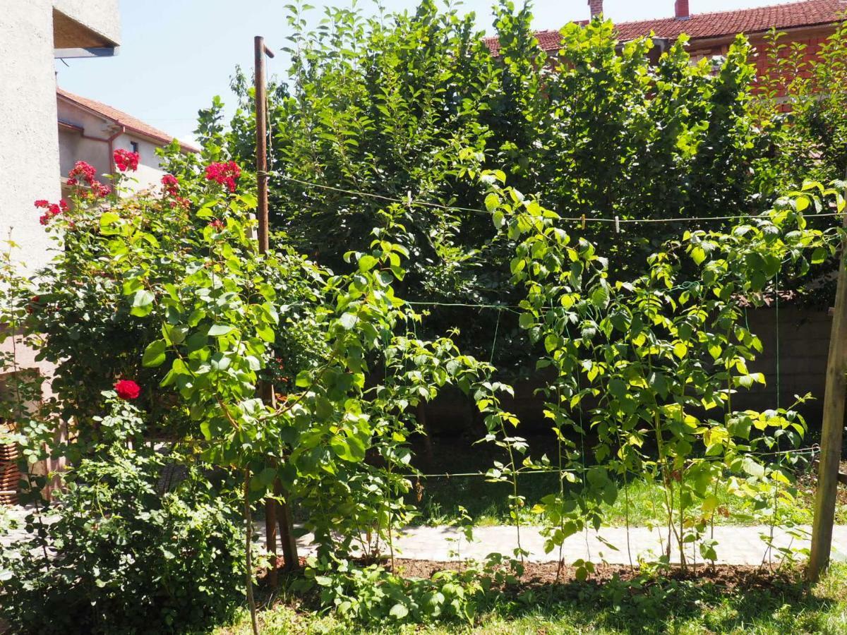 Guest House Stefanovic Vranje Exterior photo